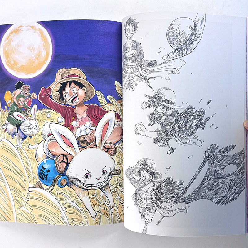 One Piece Illustration Book Co - Stationery Books ulasan dan harga