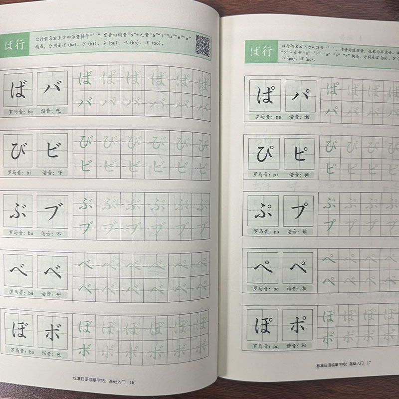 Japanese Hiragana & Katakana P - Chinese Calligraphy Practice Book ulasan dan harga