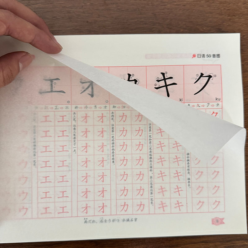 Zero Beginner Japanese Hiragan - Chinese Calligraphy Practice Book ulasan dan harga